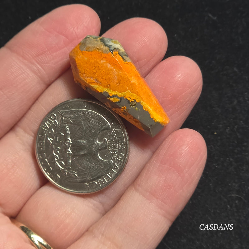 Bumblebee Jasper Coffin