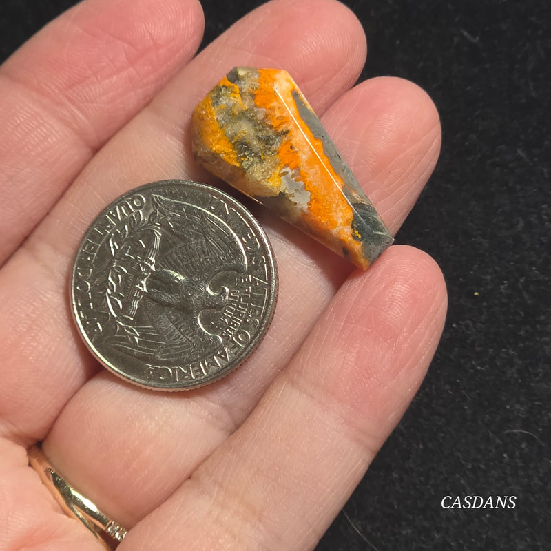 Bumblebee Jasper Coffin