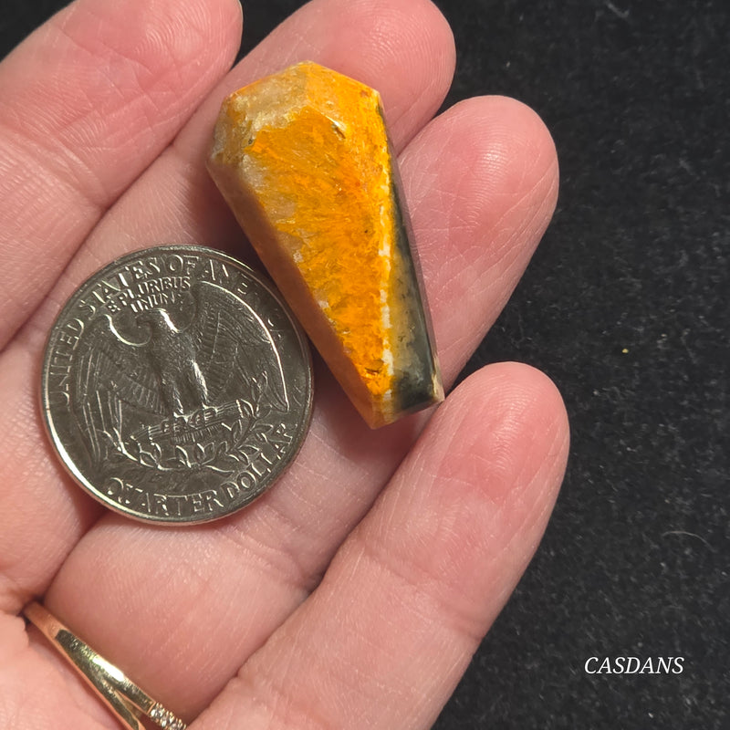 Bumblebee Jasper Coffin