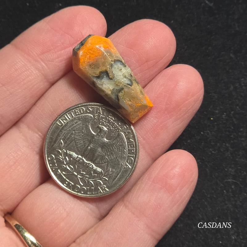 Bumblebee Jasper Coffin