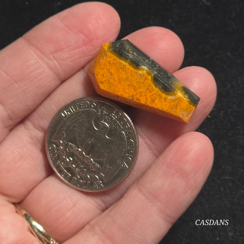 Bumblebee Jasper Coffin