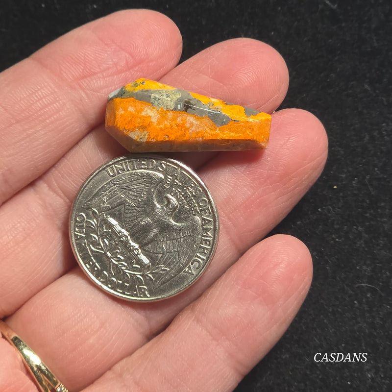 Bumblebee Jasper Coffin
