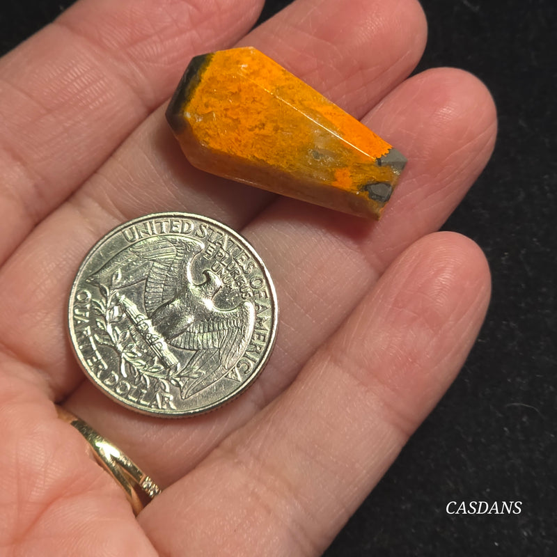 Bumblebee Jasper Coffin