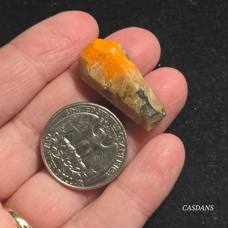 Bumblebee Jasper Coffin