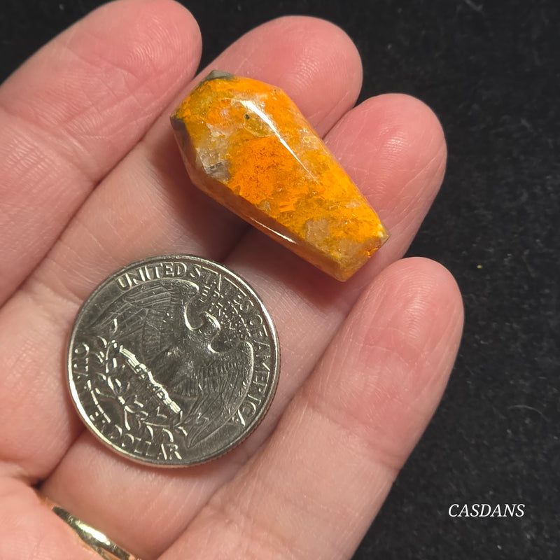 Bumblebee Jasper Coffin