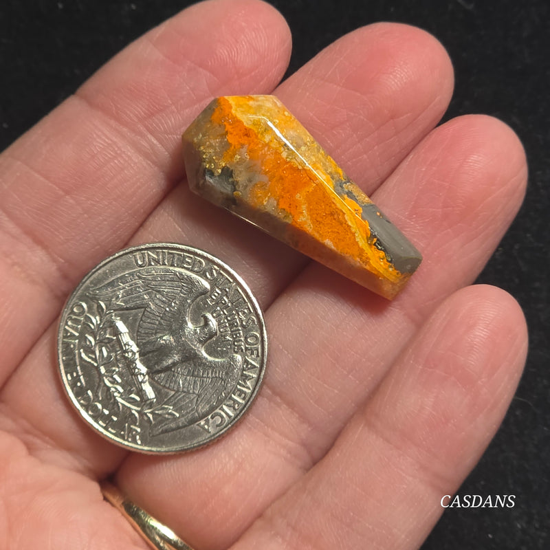 Bumblebee Jasper Coffin