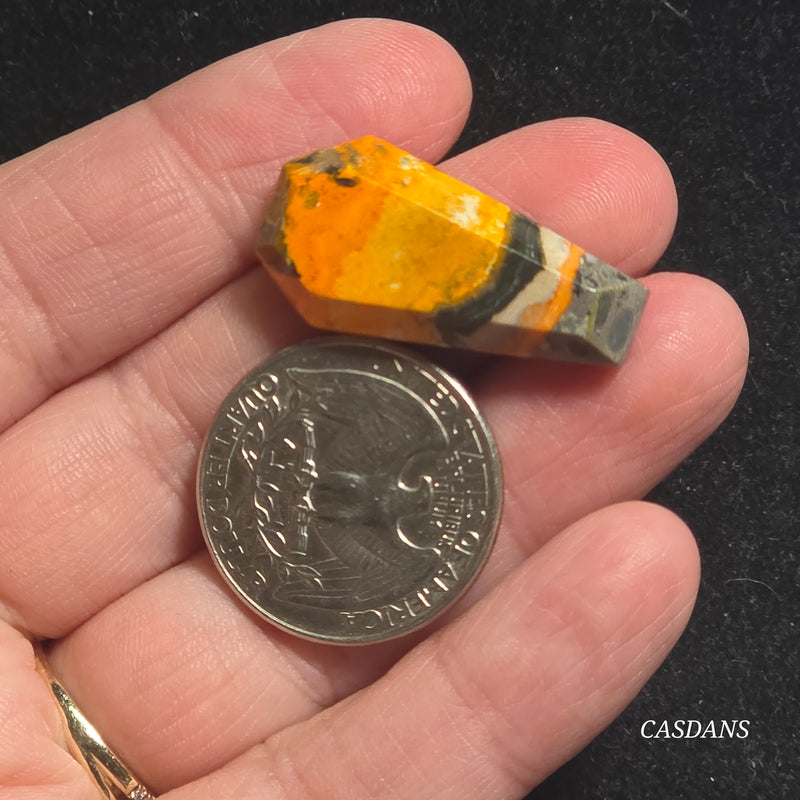 Bumblebee Jasper Coffin
