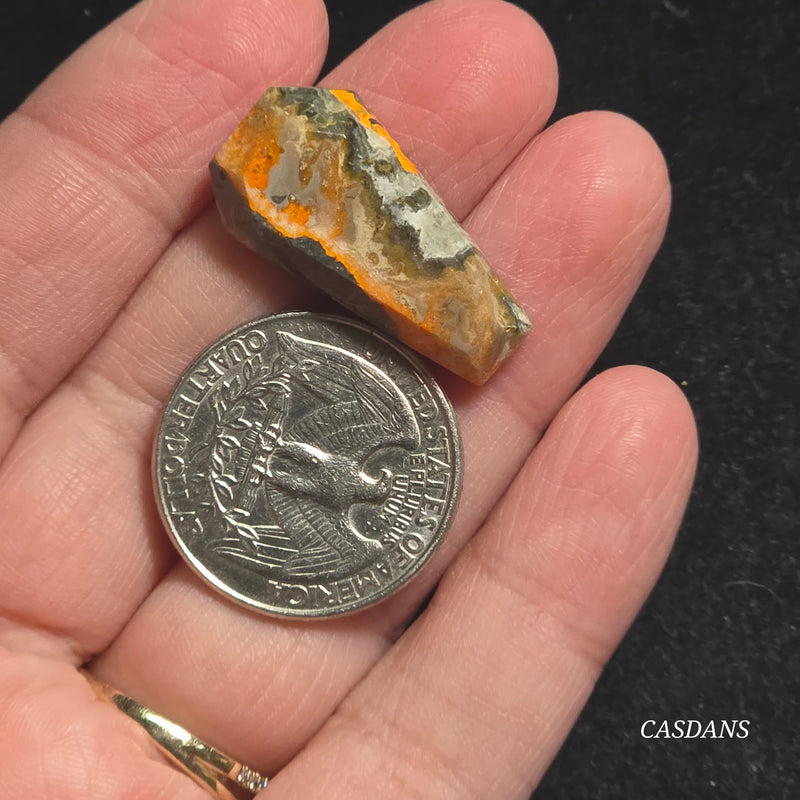Bumblebee Jasper Coffin