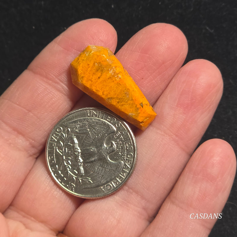 Bumblebee Jasper Coffin