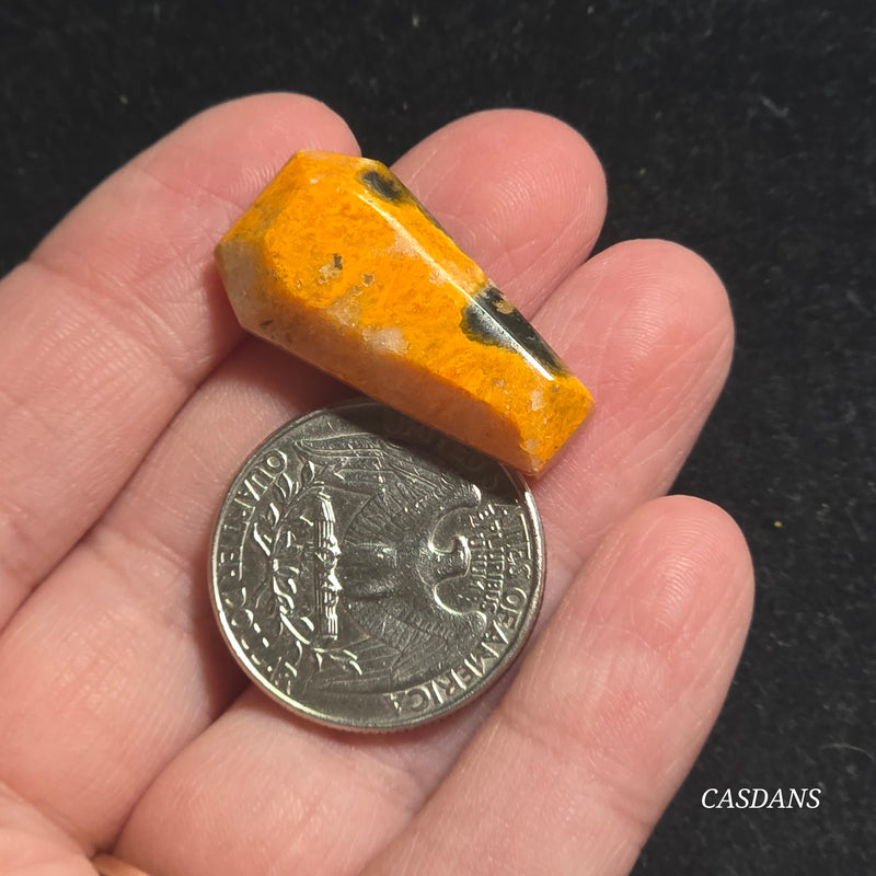 Bumblebee Jasper Coffin