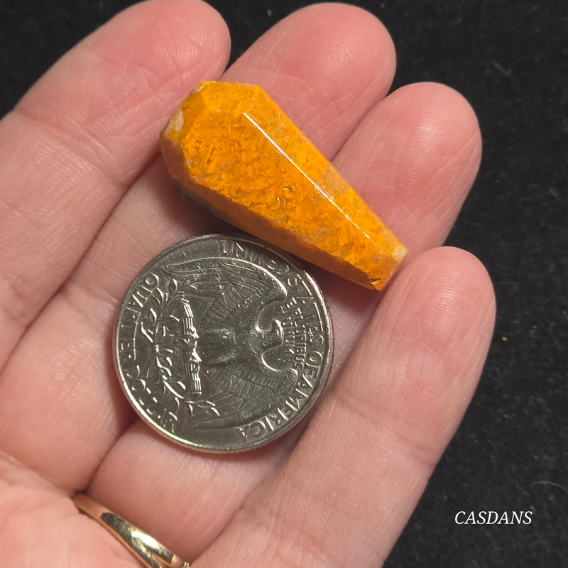 Bumblebee Jasper Coffin