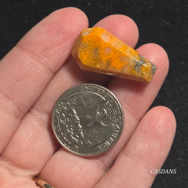 Bumblebee Jasper Coffin