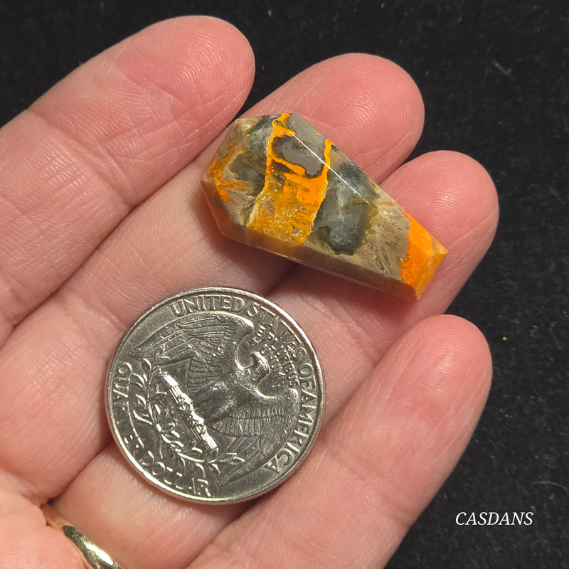 Bumblebee Jasper Coffin