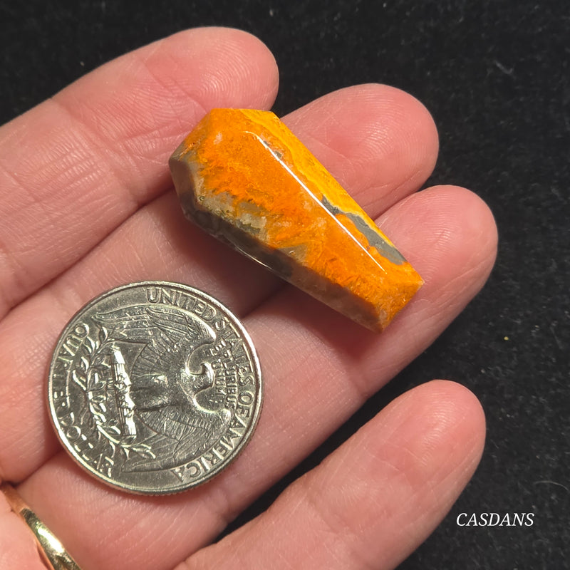Bumblebee Jasper Coffin