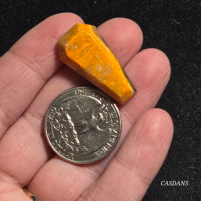 Bumblebee Jasper Coffin