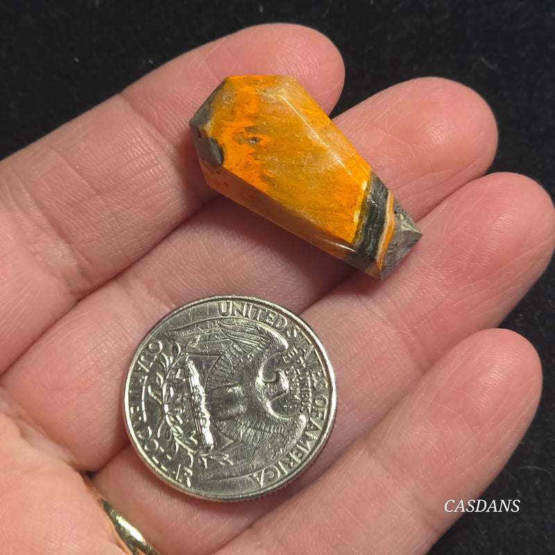 Bumblebee Jasper Coffin