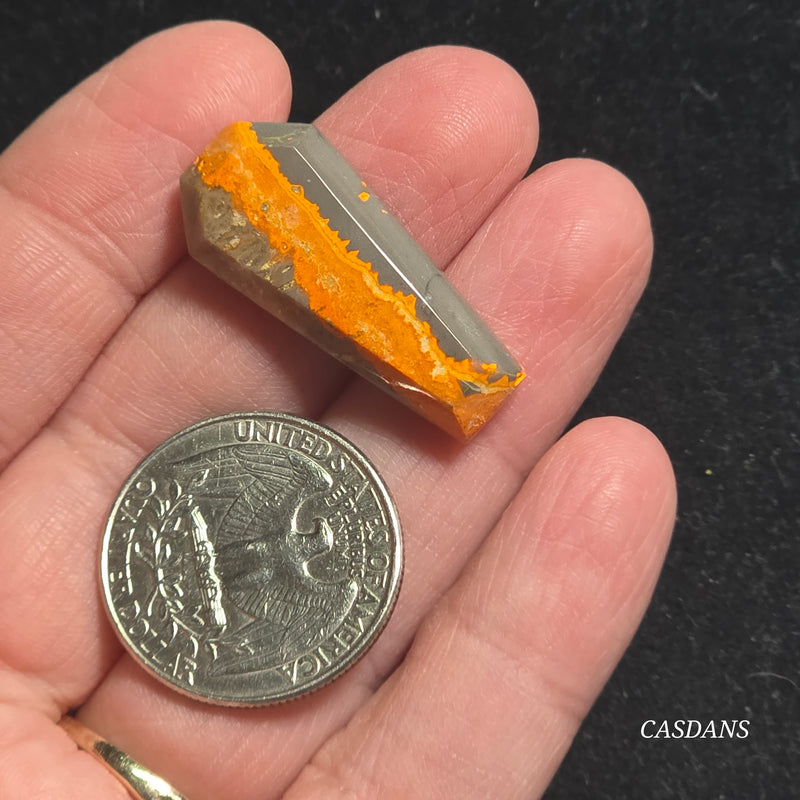 Bumblebee Jasper Coffin