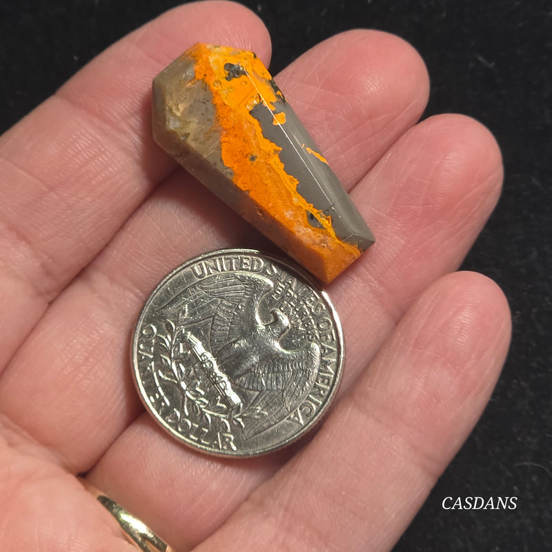 Bumblebee Jasper Coffin