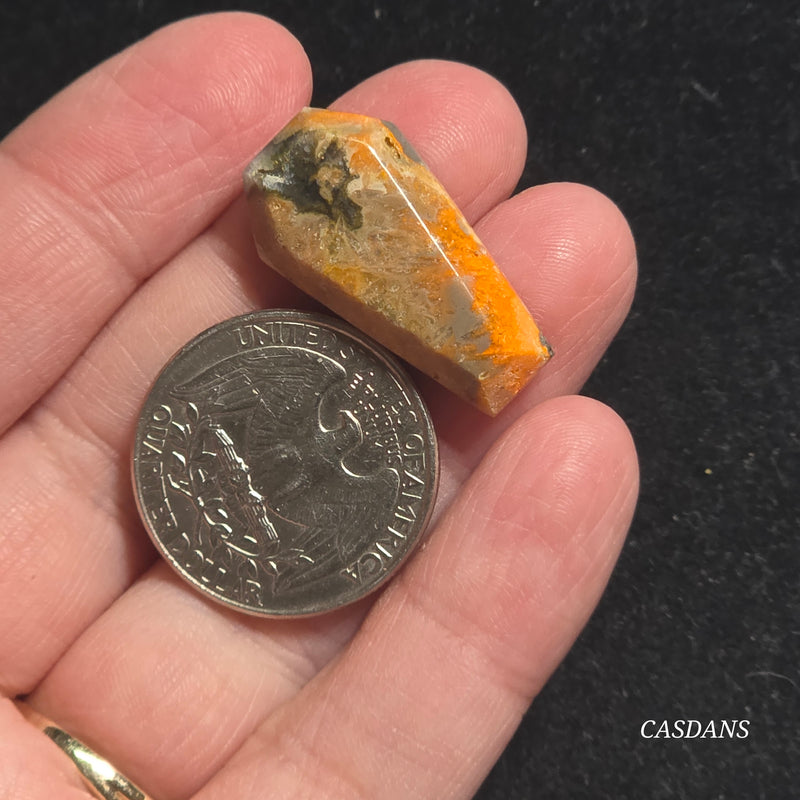 Bumblebee Jasper Coffin