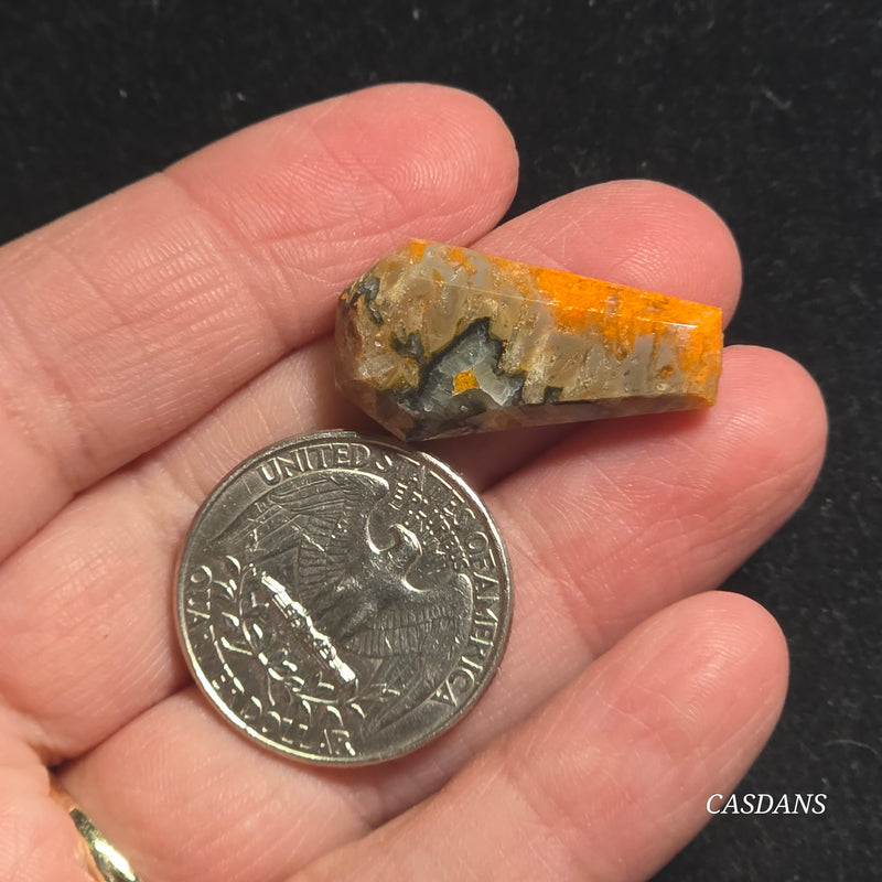 Bumblebee Jasper Coffin
