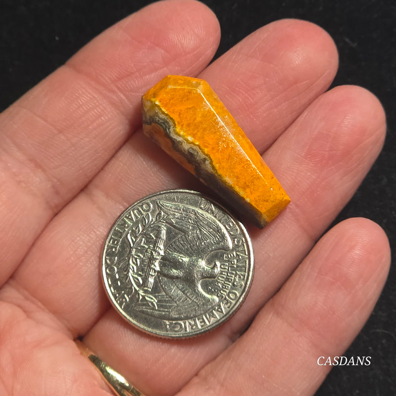 Bumblebee Jasper Coffin