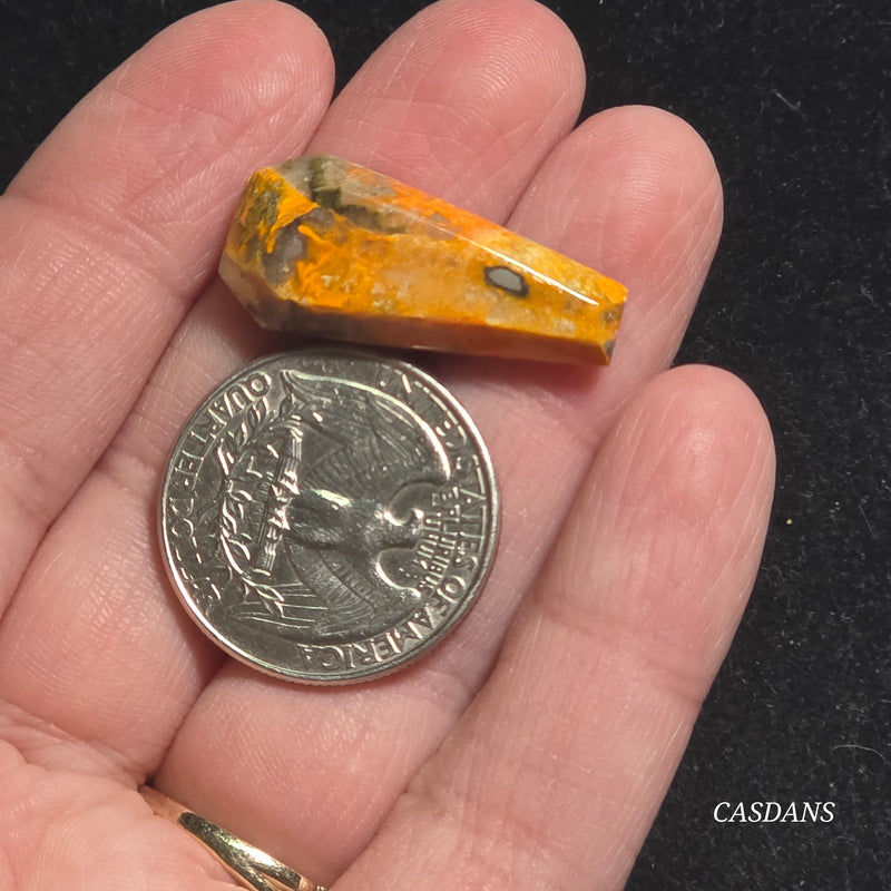 Bumblebee Jasper Coffin