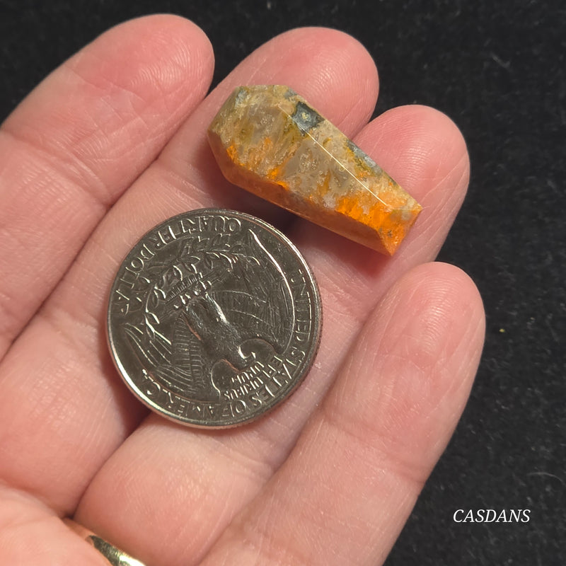 Bumblebee Jasper Coffin