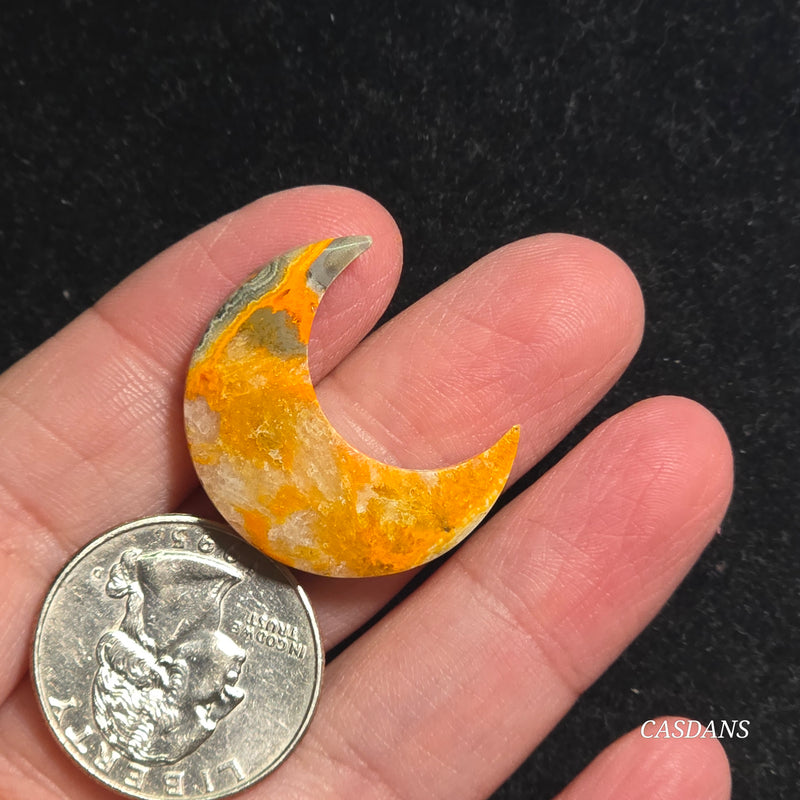 Bumblebee Jasper Moon