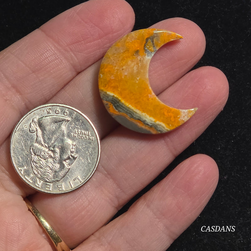 Bumblebee Jasper Moon