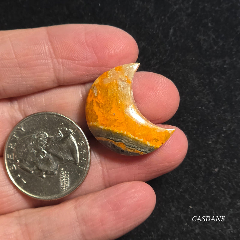 Bumblebee Jasper Moon