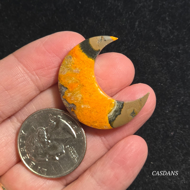 Bumblebee Jasper Moon