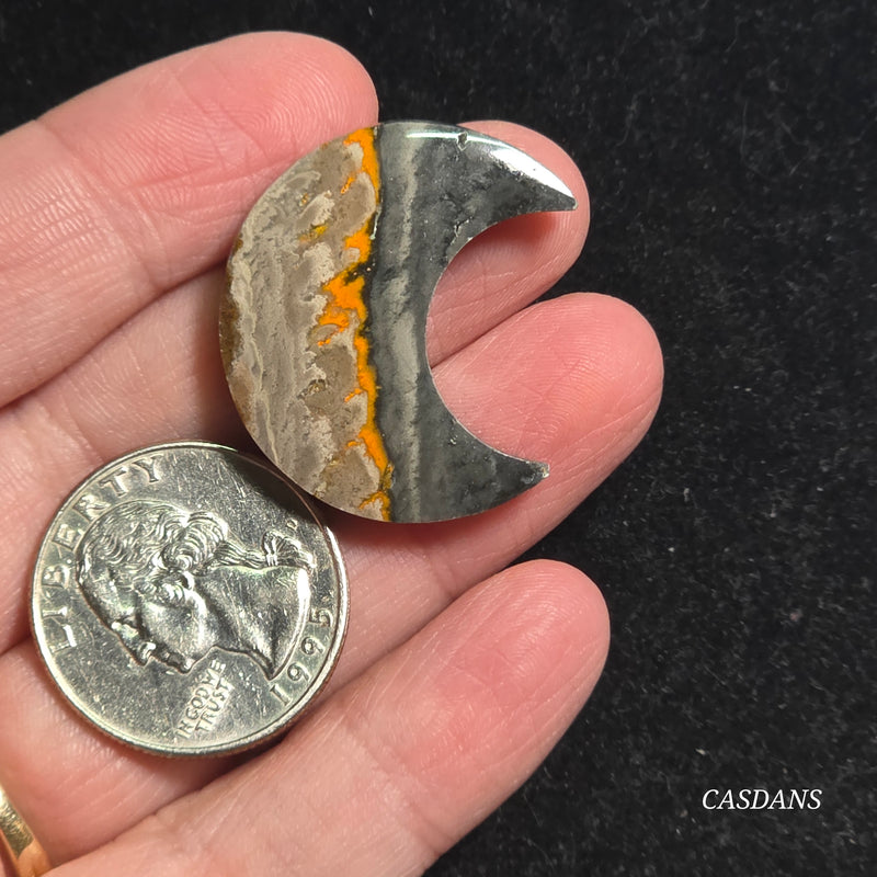 Bumblebee Jasper Moon