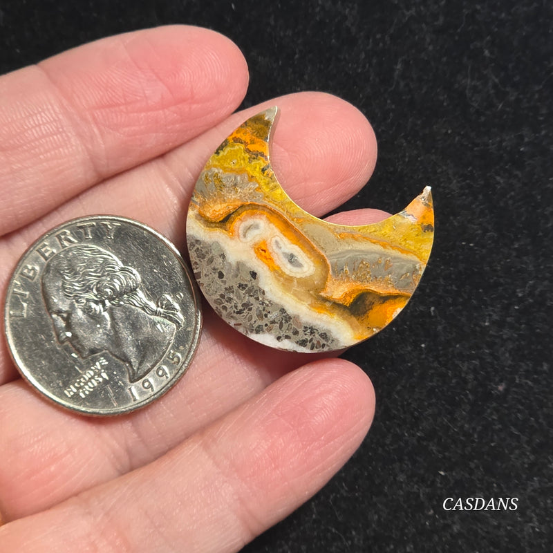 Bumblebee Jasper Moon