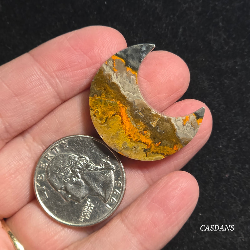 Bumblebee Jasper Moon