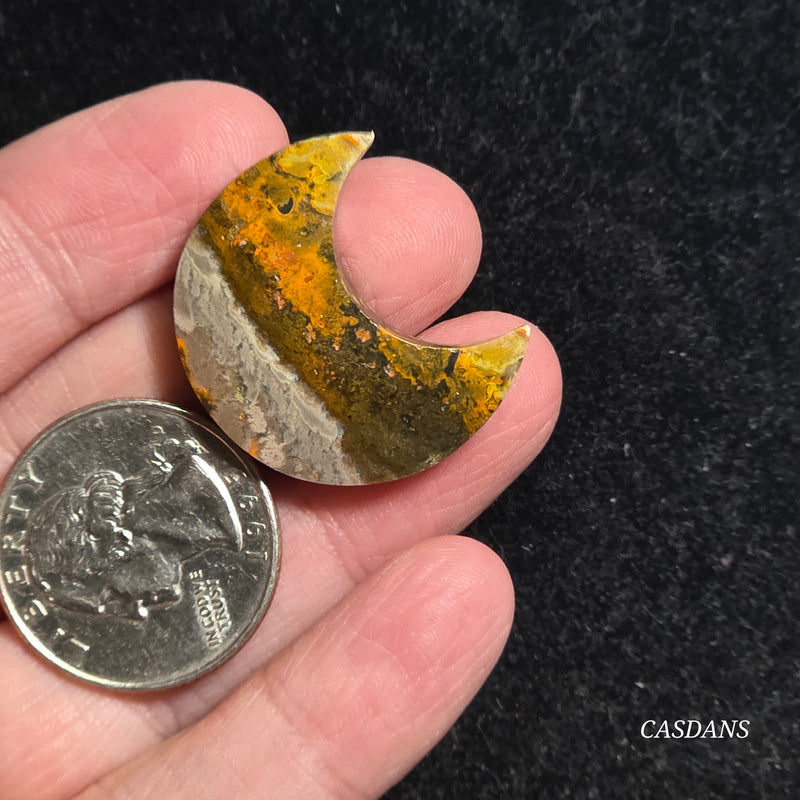 Bumblebee Jasper Moon