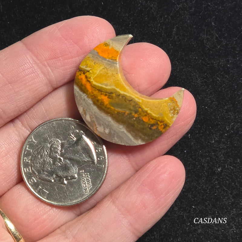 Bumblebee Jasper Moon