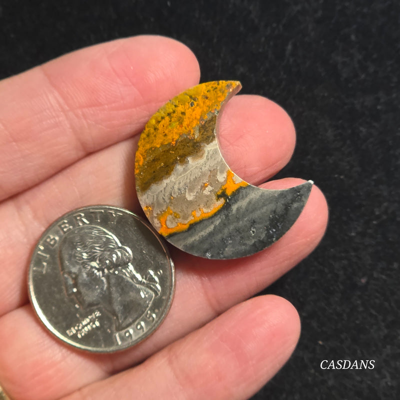 Bumblebee Jasper Moon