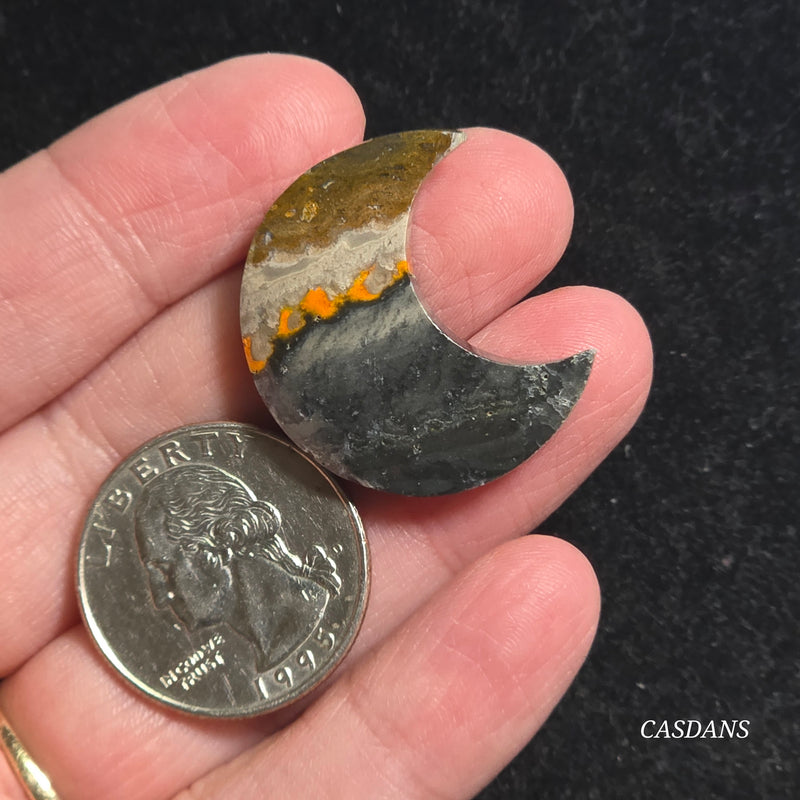 Bumblebee Jasper Moon