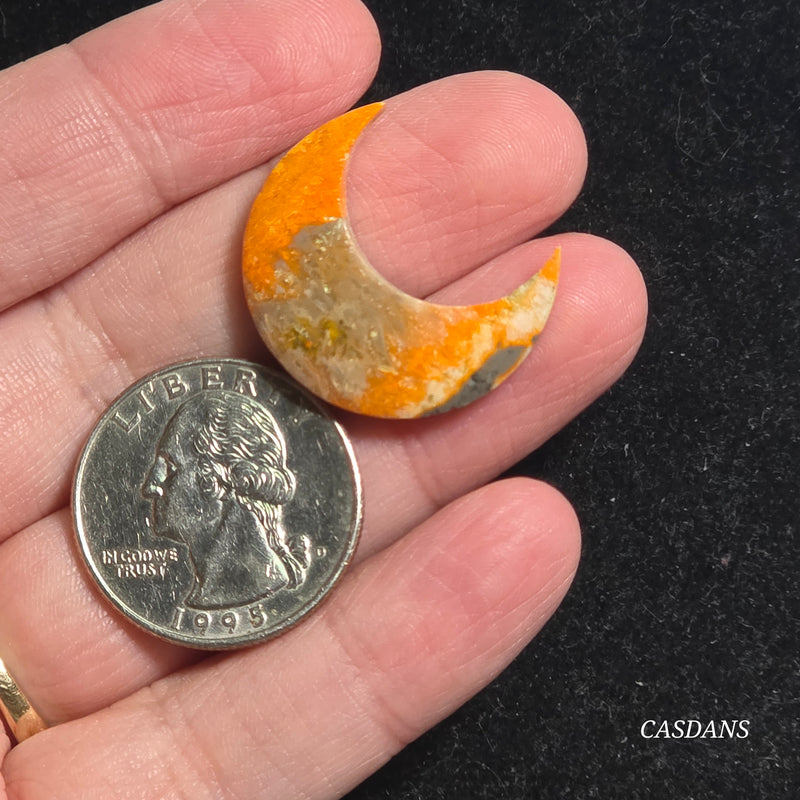 Bumblebee Jasper Moon