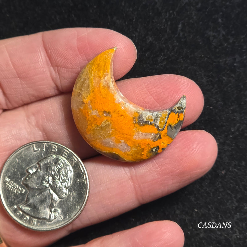 Bumblebee Jasper Moon