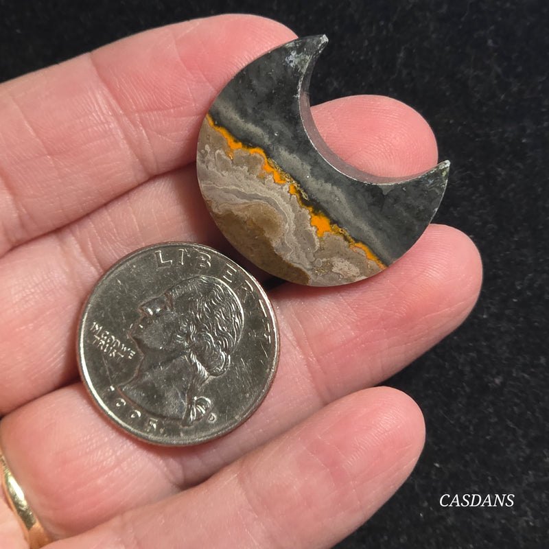 Bumblebee Jasper Moon