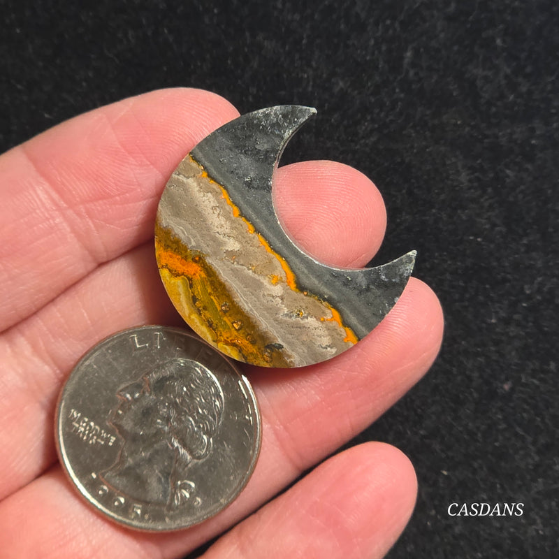 Bumblebee Jasper Moon