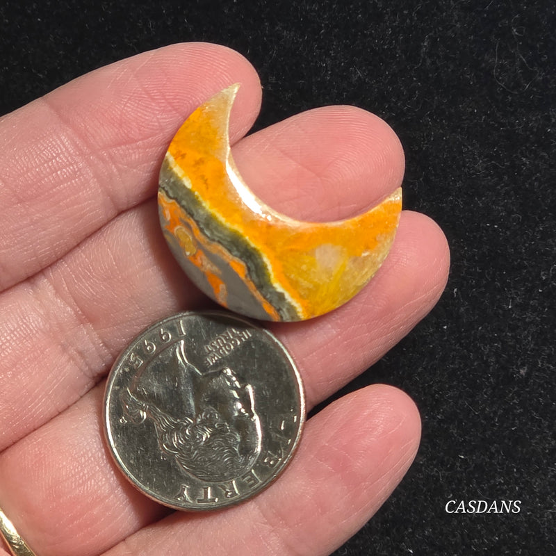 Bumblebee Jasper Moon