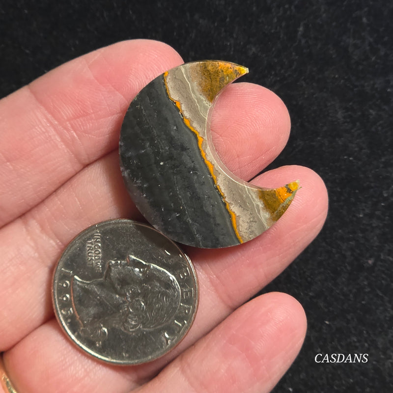 Bumblebee Jasper Moon