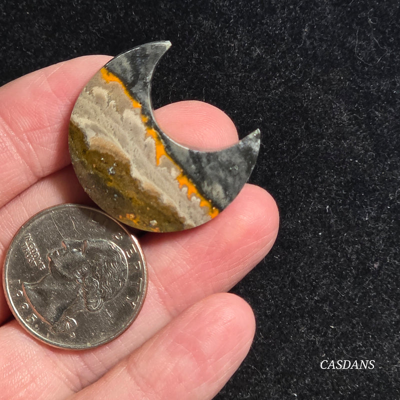 Bumblebee Jasper Moon
