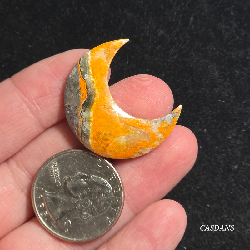 Bumblebee Jasper Moon