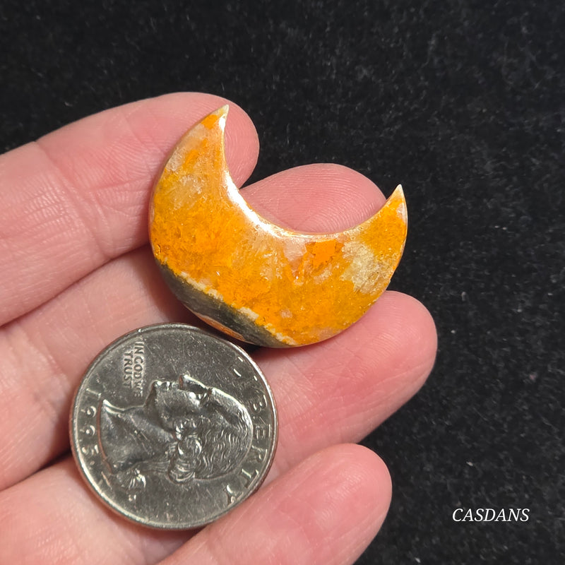 Bumblebee Jasper Moon