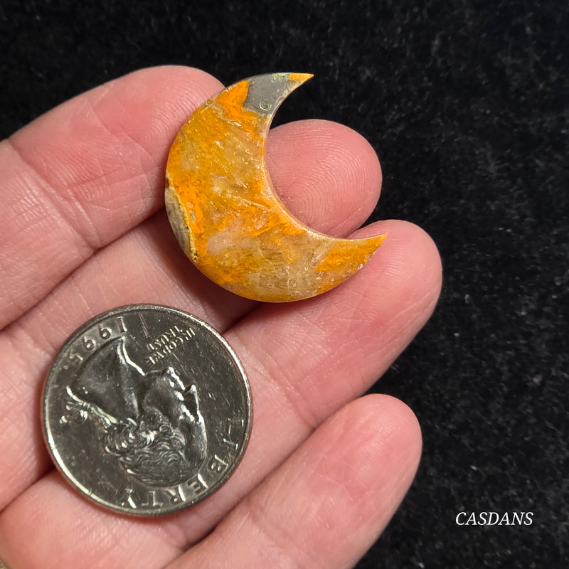 Bumblebee Jasper Moon
