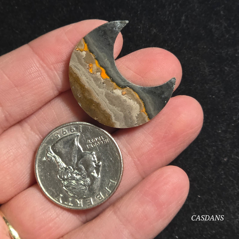 Bumblebee Jasper Moon