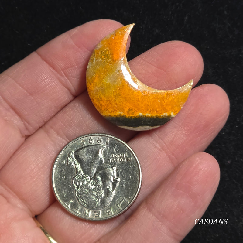 Bumblebee Jasper Moon
